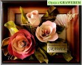 24bee3c8a10f07ab4796b2a16f3313ec812379a9