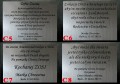 C2-4.jpg