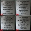 Przykładowe dedykację dla dziewczyny , kobiety na prezent.