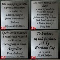 Przykładowe dedykację dla dziewczyny ,kobiety na pamiątkę.jpg