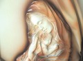 OBRAZ ŚLUBNY, WSPANIAŁY PREZENT, MATKA BOŻA MARYJA, RĘKODZIEŁO W SKÓRZE, CIEPŁA KOLORYSTYKA